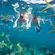 Two people snorkeling amid tropical fish in Cabo San Lucas, Mexico